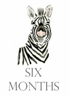 Loulou Baker Baby Month Cards