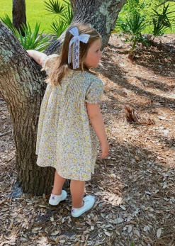 Baybala For Kids Lottie Dress In Daisy Rose