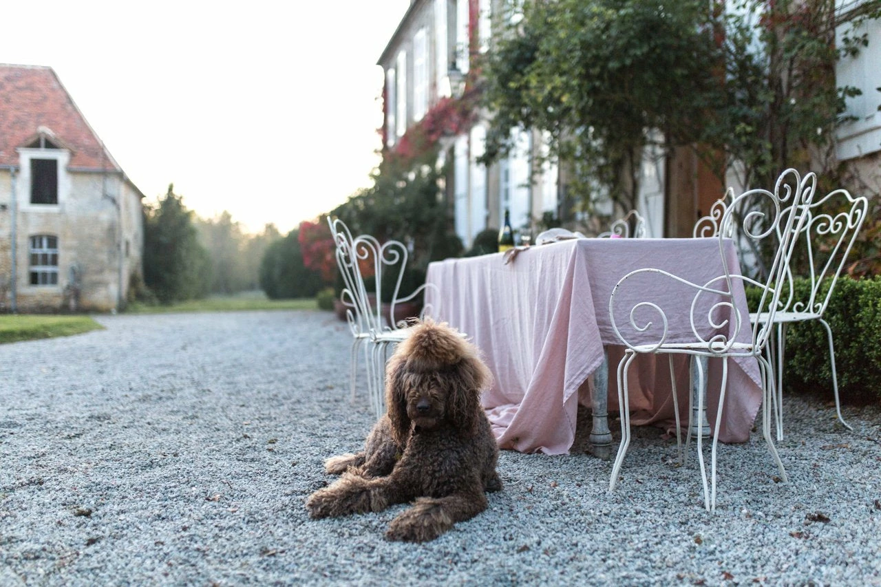 Madame De La Maison Rose Linen Tablecloth 260 X 350 2 Madame De La Maison Rose Linen Tablecloth 260 X 350