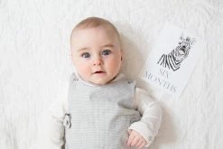 Loulou Baker Baby Month Cards