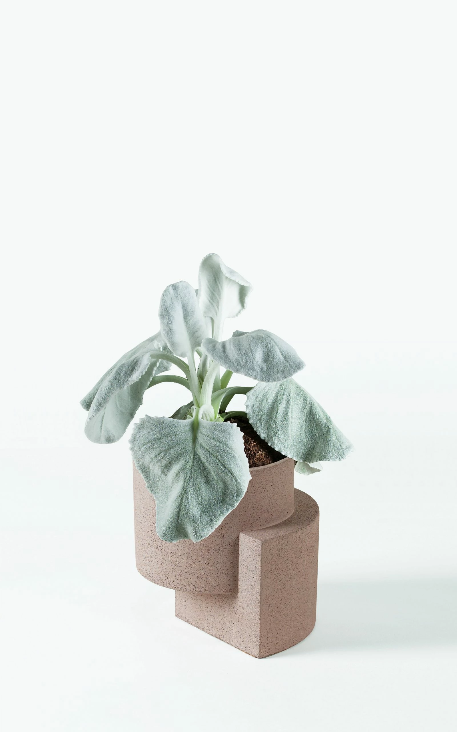 TORTUGA Live Platform Planters, Beach Set (Two Small Coral, One Medium Coral) 4 TORTUGA Live Platform Planters, Beach Set (Two Small Coral, One Medium Coral)