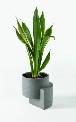 TORTUGA Live Platform Planters, Yin Yang Planter Set (One Medium Graphite And One Small White)