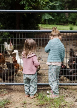 Baybala Addie Sweatshirt In Blossom For Kids