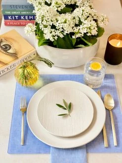 Proper Table Co. Campbell Blue Chambray Placemat Live