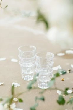 Caravan Bistro Glass, Clear Live