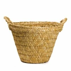 Only On The Avenue Live Taylor Basket