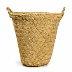 Only On The Avenue Live Taylor Basket