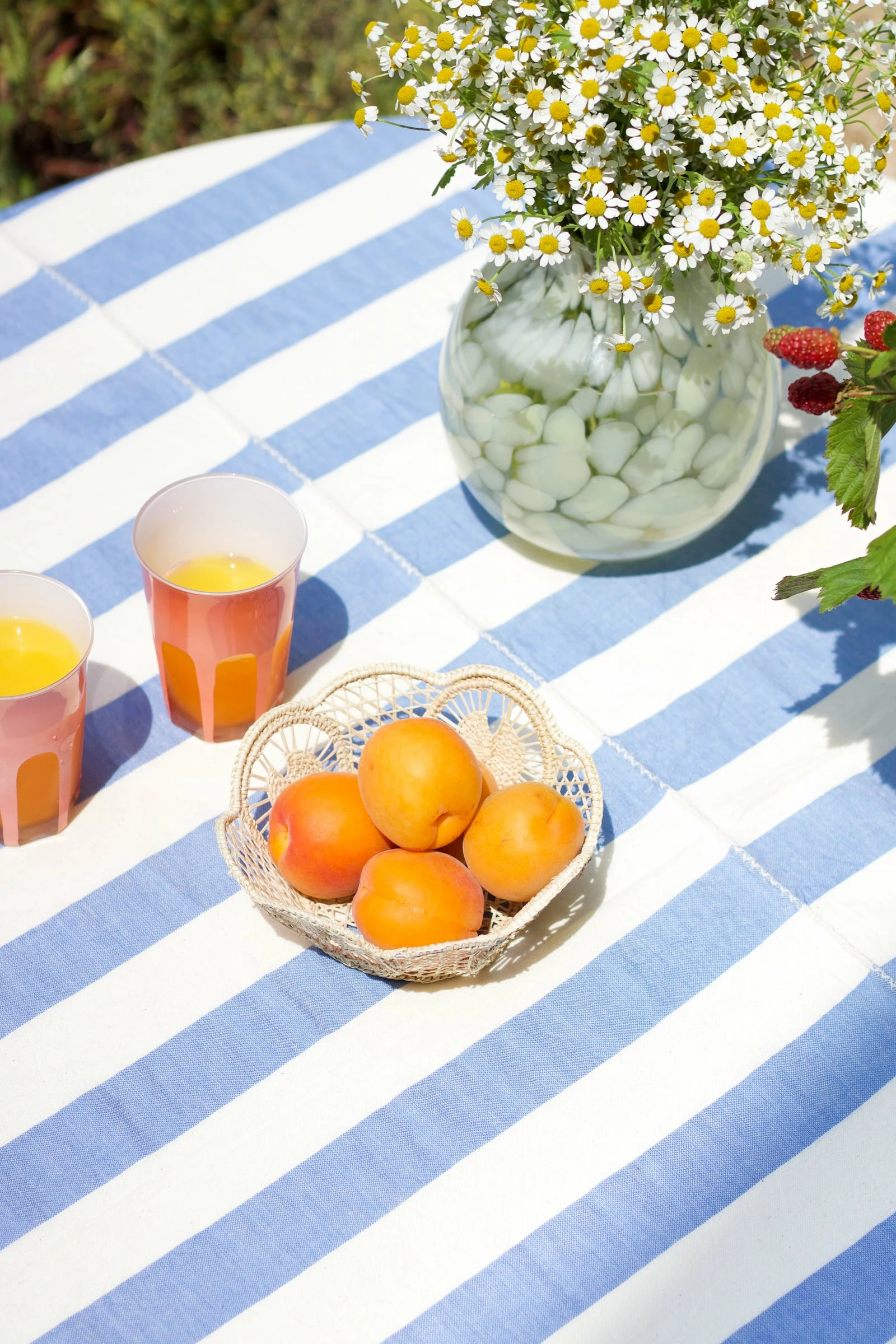 Heather Taylor Home Milos Tablecloth, Blue X White Live 6 Heather Taylor Home Milos Tablecloth, Blue X White Live