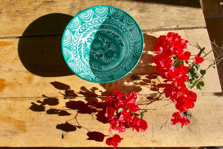 Pomelo Casa Casa Verde Large Bowl Live 6 Pomelo Casa Casa Verde Large Bowl Live