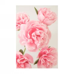 Claiborne Swanson Frank PINK PEONY III Live