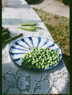 Pomelo Casa Casa Azul Dinner Plate With Candy Cane Stripes 13 Pomelo Casa Casa Azul Dinner Plate With Candy Cane Stripes