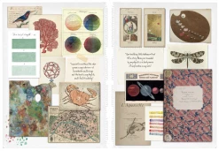 Pierce & Ward Maison Parisian Chic At Home