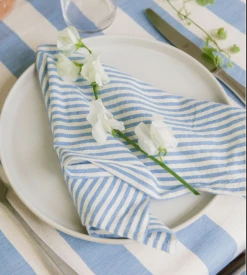 Heather Taylor Home Mini Stripe Napkin, Blue
