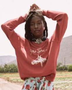 The Great The College Sweatshirt, Red Rose Wear