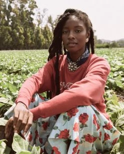 The Great The College Sweatshirt, Red Rose Wear