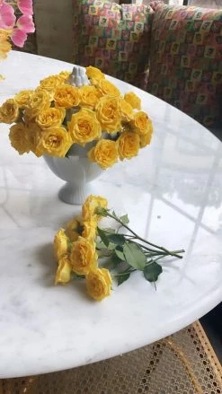 Only On The Avenue Tulipiere Artichoke White Live