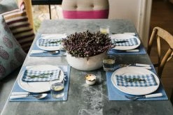 Proper Table Co. Campbell Blue Chambray Placemat Live